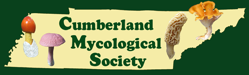 Cumberland Mycological Society logo