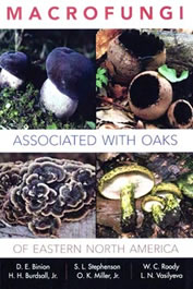 Macrofungi Associated with Oak Trees