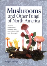 Mushrooms of North America by Phillips