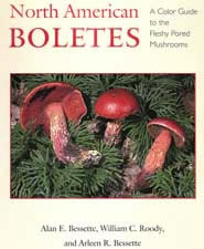 North American Boletes