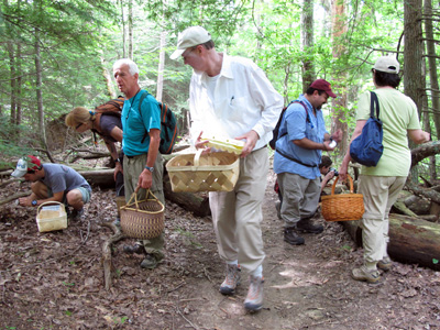 Cumberland Mycological Society members gathering mushrooms at club sponsored mushroom foray